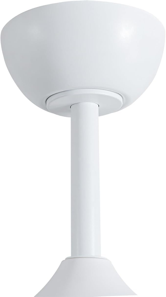 Fergus 5-Blade Lighted Ceiling Fan with LED Lamp with Remote