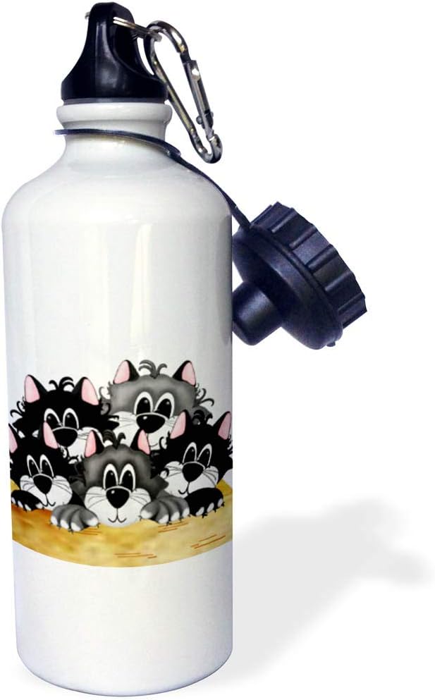 3dRose "Box of Cats" Sports Water Bottle, 21 oz, White
