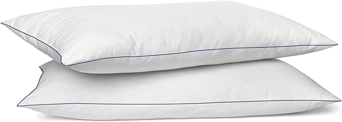 SILUI Extra Flat Soft Thin Pillows Queen Size Set of 2 Pack Bed Pillow with Down Alternative Fill for Side Back Stomach Sleepers, 20x30 Inches, White