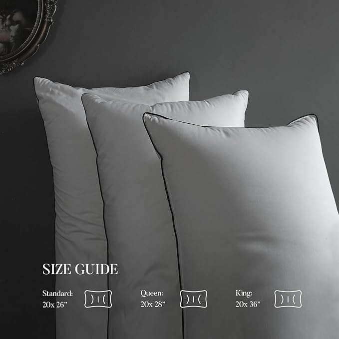 MAXICOZY Hungarian Goose Down Pillow Queen Size Pack of 2, 3-Chamber Bed Pillows Queen Size Set of 2, White Hotel Pillows for Sleeping, 460TC Soft Cotton Blend Shell- Queen (20" x 28"), 2 Pack