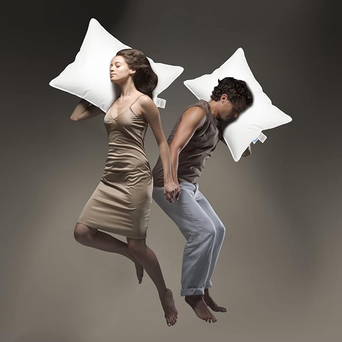 Natural Goose Down Pillows: Luxury Hotel Bed Pillow with 750 Fill Power, White Goose Down Sleeping Pillow with Pillowcase, Soft Pillow for Back, Side, Stomach Sleepers - 1 Pack, Queen (20" x 30")