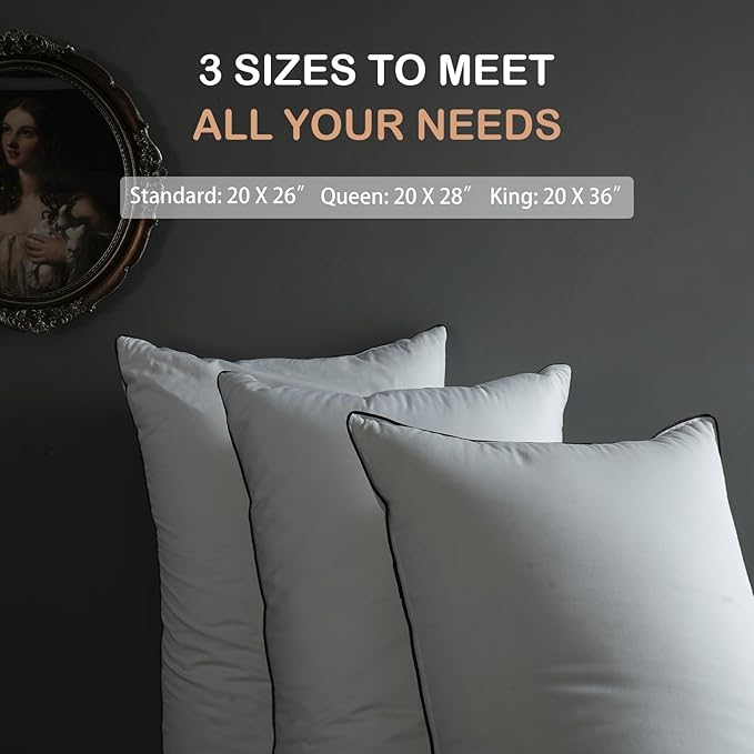 Luxury All Hungarian Goose Down Pillows Queen Size,Soft and Support Down Bed Pillow for Back,Side,Stomach Sleepers,480 Thread Count 100% Cotton Shell,Queen Size Soft Pillow 2 Pack 20"x28"