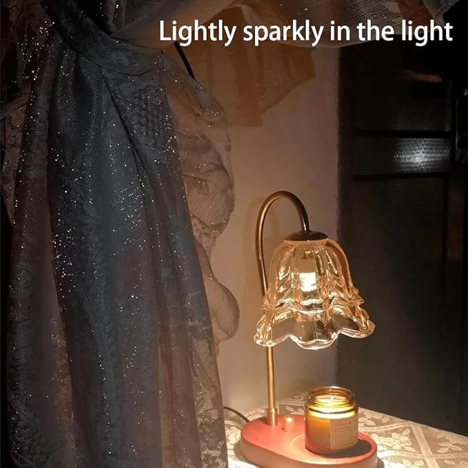 Elegant Lace Princess 4 Corner Post Mosquito Net Romantic for Girls Women Bed Curtain Canopy for Adult Wedding Bedroom Kids Rooms Decoration (Coffee, King)