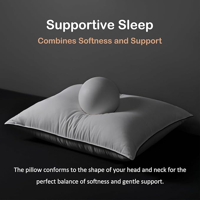 Luxury All Hungarian Goose Down Pillows Queen Size,Soft and Support Down Bed Pillow for Back,Side,Stomach Sleepers,480 Thread Count 100% Cotton Shell,Queen Size Soft Pillow 2 Pack 20"x28"