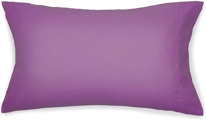 Amazon Basics 5 Piece Microfiber Kid's Bed-in-a-Bag Bedding Set, Twin, Bluish Flowers, Floral