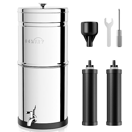 2.25G Gravity Water Filter System, NSF/ANSI 42&372 Standard, 304 Stainless Steel Countertop System with 2 Carbon Filters, Reduce 99% Chlorine and Lead