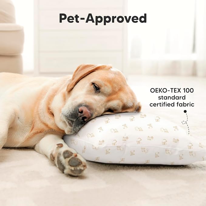 2-Pack Toddler Pillow - Soft Organic Cotton Toddler Pillows for Sleeping - 13X18 Small Pillow for Kids - Kids Pillows for Sleeping - Kids Pillow for Travel, School, Nap, Age 2 to 5 (Excavator)