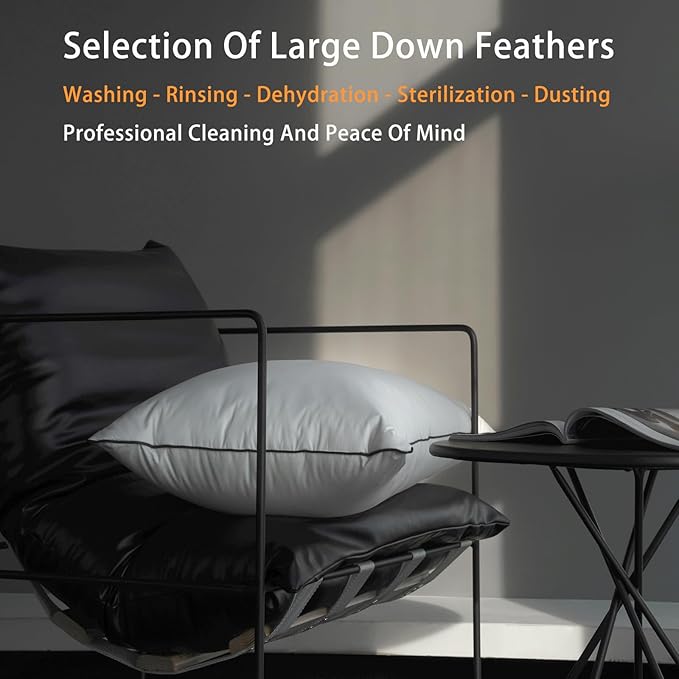 Luxury Hungarian White Goose Down Pillows Queen Size - 550 Fill Power - 460 Thread Count Cotton Blend Shell - Ultra Soft and Comfortable Sleep Pillows - 2 Pack (20" x 28")