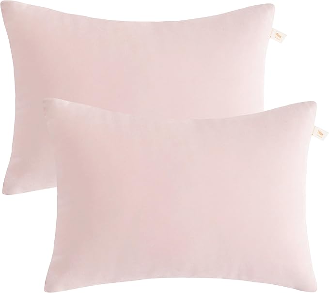BEDSUM 2 Pack Pillows, 13"x18" Microfiber Pillows for Travel, Pets, Soft and Machine Washable Small Pillows for Neck, Wrist, and Knee Comfort, Pink