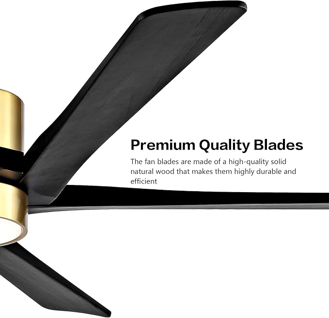 WINGBO 54 Inch DC Ceiling Fan with Lights and Remote Control, 5 Reversible Carved Wood Blades, 6-Speed Noiseless DC Motor, Modern Ceiling Fan in Brass Finish with Black Blades, ETL Listed