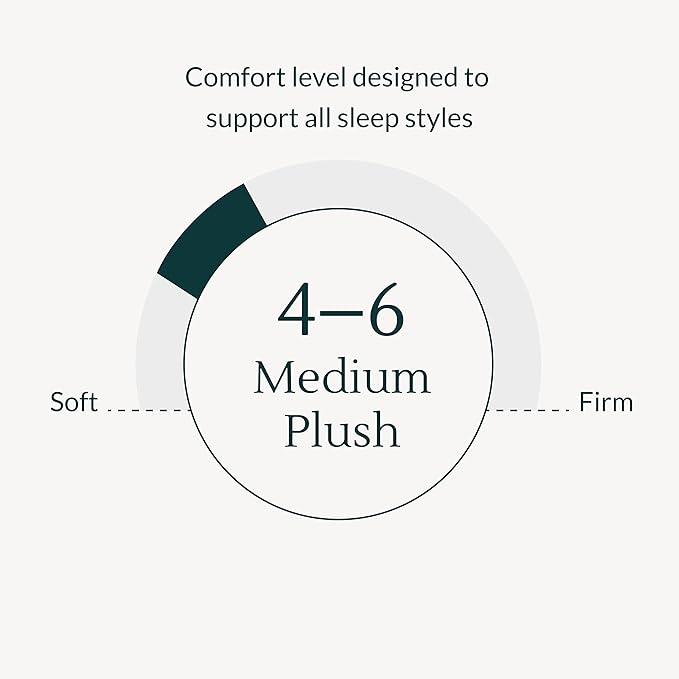 Leesa Legend Hybrid 12" Mattress, King Size Luxury Dual Hybrid/CertiPUR-US Certified/with Organic Cotton Mattress Cover / 100-Night Trial,White