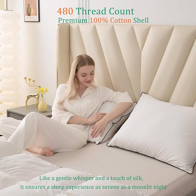 Luxury White Goose Down Pillows Standard Size - 750 Fill Power - 500 Thread Count 100% Cotton Shell - Soft and Support Down Bed Pillow for Back, Side, Stomach Sleepers -Pack of 1 (20 x 26”)