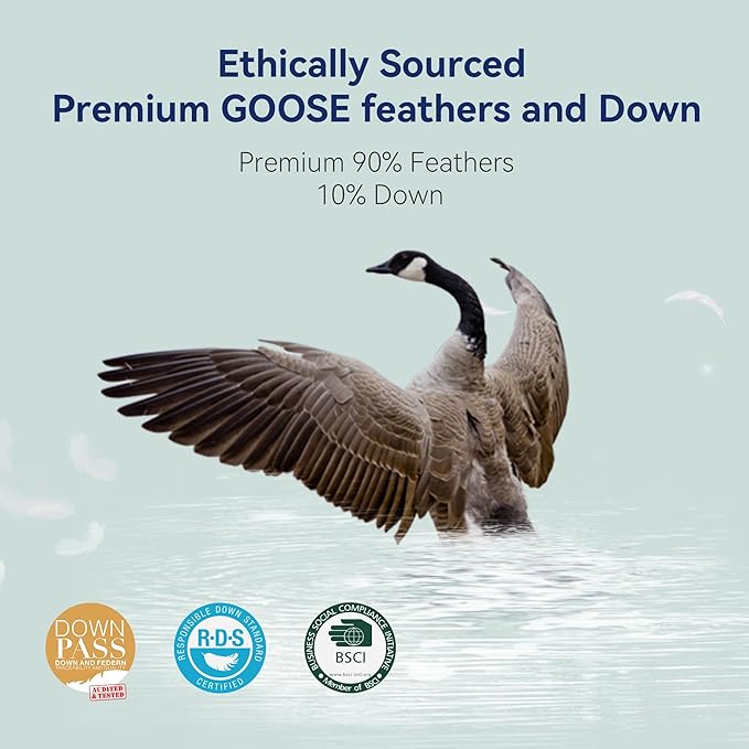 Goose Feather Down Pillows Queen Size Set of 2 - Luxury Soft Feather Down Pillow for Sleeping - Hotel Quality Bed Pillows - Wrapped in Polyester (Solid White, 20x30 Inches)