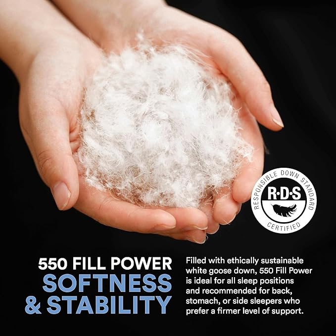 Continental Bedding Medium Standard Pack of 1 100% White Down Pillows 20oz 550FP Hotel Down Pillows for Supporting Back Side and Stomach Sleepers