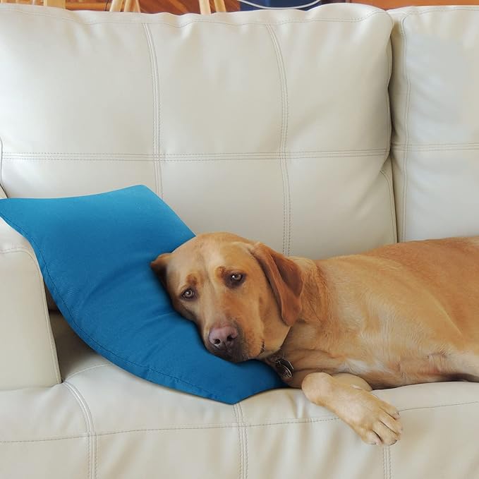 Wesiti 5 Pcs Mini Travel Pillow Small Pillow for Sleeping 11 x 7 x 2.4 inch Small Throw Pillows Tiny Camping Pillow Kids Baby Infant Neck Nap Pillow for Sleeping Traveling Supplies