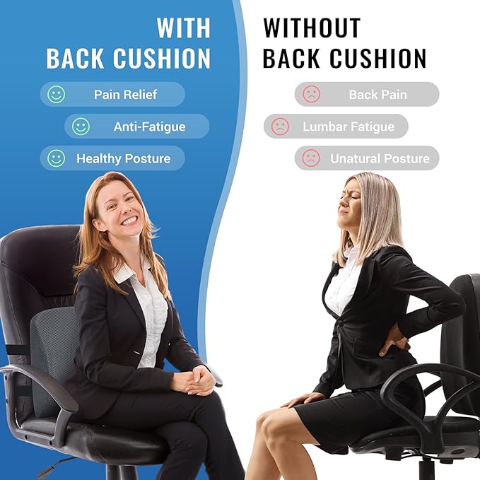 Lumbar Support Pillow for Office Chair Car Seat Cushion for Lower Back Sciatica Pain Relief Firm Memory Foam Pillows Wedge Chairs Cushions with Dual Straps (Mesh Grey)