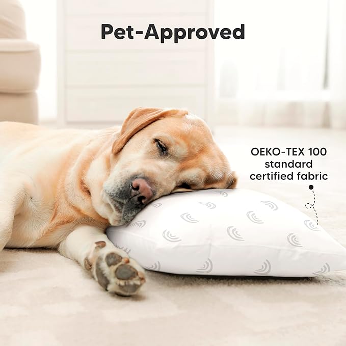 2-Pack Toddler Pillow - Soft Organic Cotton Toddler Pillows for Sleeping - 13X18 Small Pillow for Kids - Kids Pillows for Sleeping - Kids Pillow for Travel, School, Nap, Age 2 to 5 (Gray Rainbow)