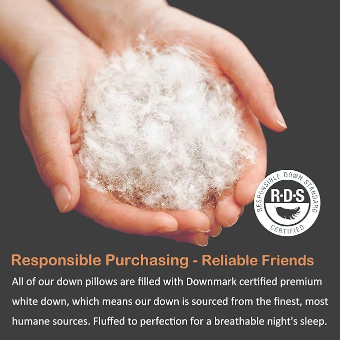 Luxury All Hungarian Goose Down Pillows Standard Size, Soft and Support Down Bed Pillow for Back,Side,Stomach Sleepers, 480 Thread Count 100% Cotton Shell, Standard Size Soft Pillow 1 Pack 20"x26"