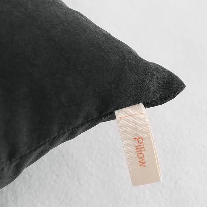 NTBAY Toddler Pillows, Down Alternative 13"x18" Pillows, Machine Washable - Soft and Breathable Travel Small Pillows for Sleeping, Ideal for Daycare, Crib, Cot, Black