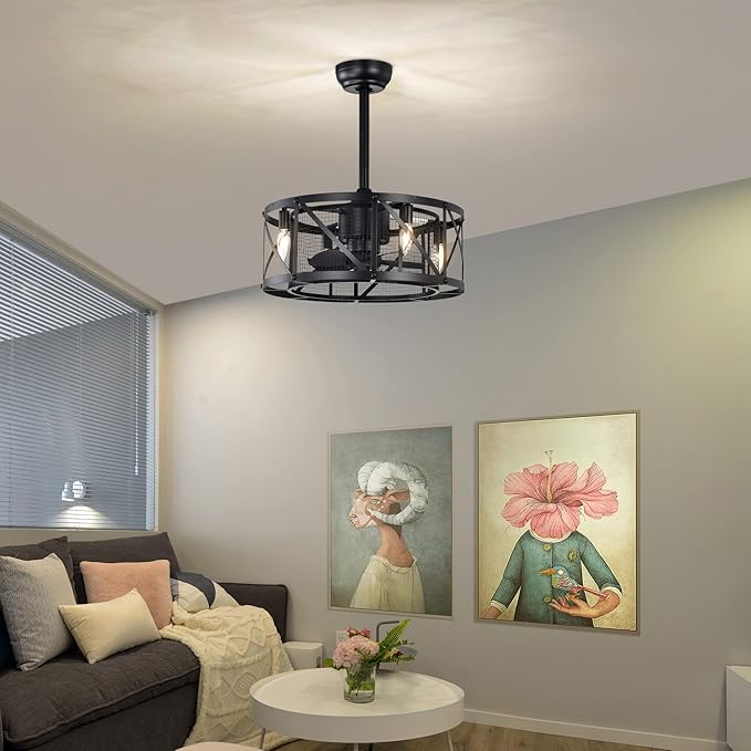 NicBex Ceiling Fan 20 Inch Modern Ceiling Fan with Lights Ceiling Fans with 5 Blades and Remote Control Reversible Small Caged Ceiling Fan for Bedroom, Living Room, Matte Black