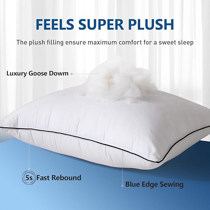 Goose Down Bed Pillow, King Size Bed Pillows for Sleeping, Ultra-Soft 750 Fill-Power Hotel Collection Pillow for Back, Stomach or Side Sleepers (20 * 36,Pack of 2)