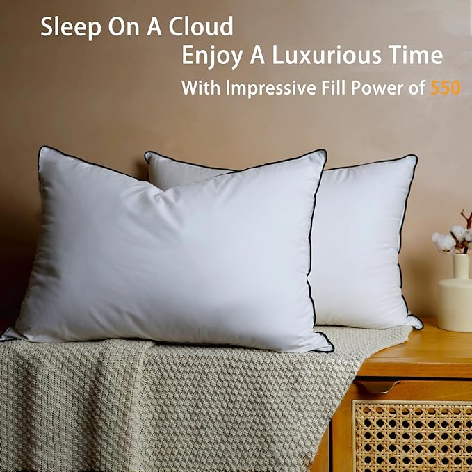 Natural Goose Down Pillows - White Down Pillow Standard Size - 550 Fill Power - Soft and Support Down Bed Pillow for Back,Side,Stomach Sleepers，2 Pack (20" x 26")