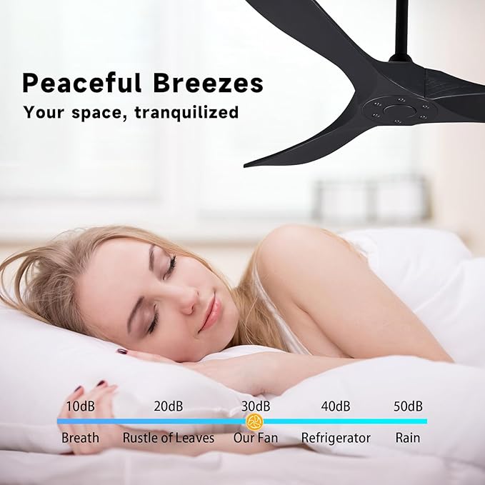 Bigzone 52" Outdoor/Indoor Black Ceiling Fans Without Lights with Remote Control, Energy Efficient DC Motor 27W, Smart Ceiling Fan With Reversible Blades