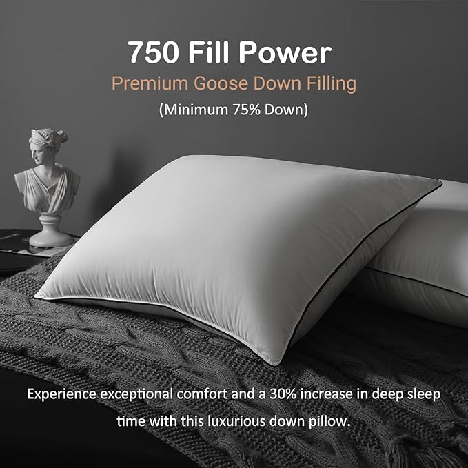 Luxury All Hungarian Goose Down Pillows King Size,Soft and Support Down Bed Pillow for Back,Side,Stomach Sleepers,480 Thread Count 100% Cotton Shell,King Size Soft Pillow 1 Pack 20"x36"