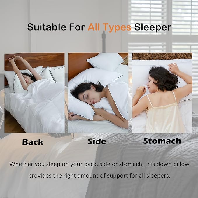 Luxury All Hungarian Goose Down Pillows Standard Size, Soft and Support Down Bed Pillow for Back,Side,Stomach Sleepers, 480 Thread Count 100% Cotton Shell, Standard Size Soft Pillow 1 Pack 20"x26"