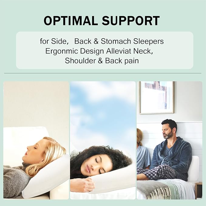 Talalay 100% Natural Premium Latex Pillow, Standard Bed Pillow with Removable Cotton Cover, Helps Relieve Pressure, Sleeping Pillow Suitable for Back and Side Sleepers, as Travel Pillow, Best Gift