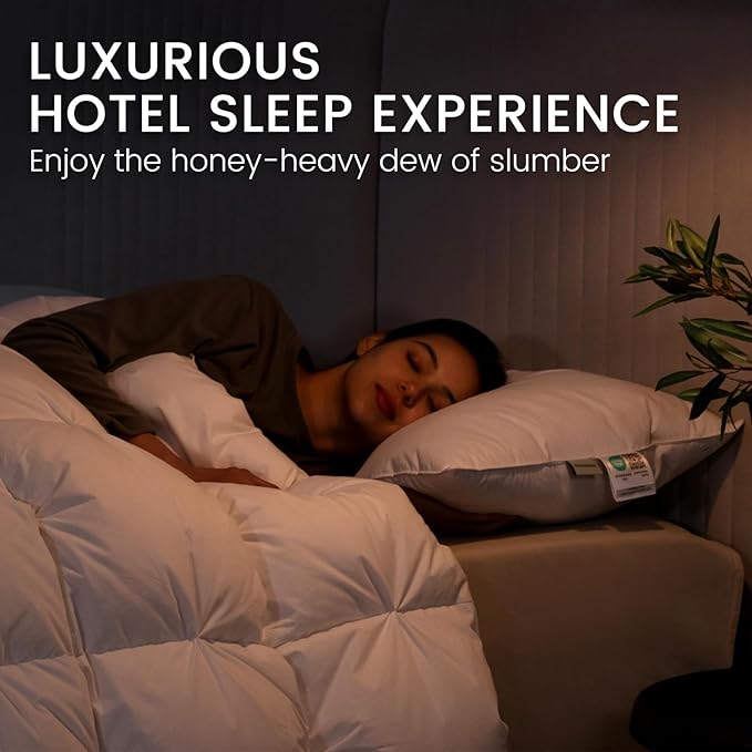 Alanzimo Goose Feather Down Pillows Extra Large Queen Size Set of 2, Luxury Soft Pillow for Sleeping, 600TC 100% Cotton Cover Hotel Collection Bed Pillows for Back, Stomach or Side Sleepers 20x30