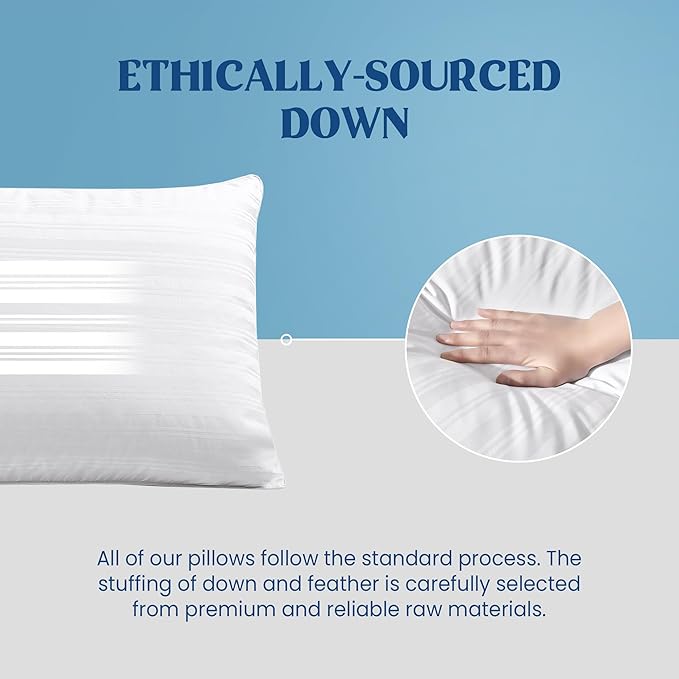 puredown Goose Feather Down Pillows, Bed Pillows for Sleeping with 2 Outer Protectors, Hotel Standard/Queen Pillows Set of 2 (Pack of 2)