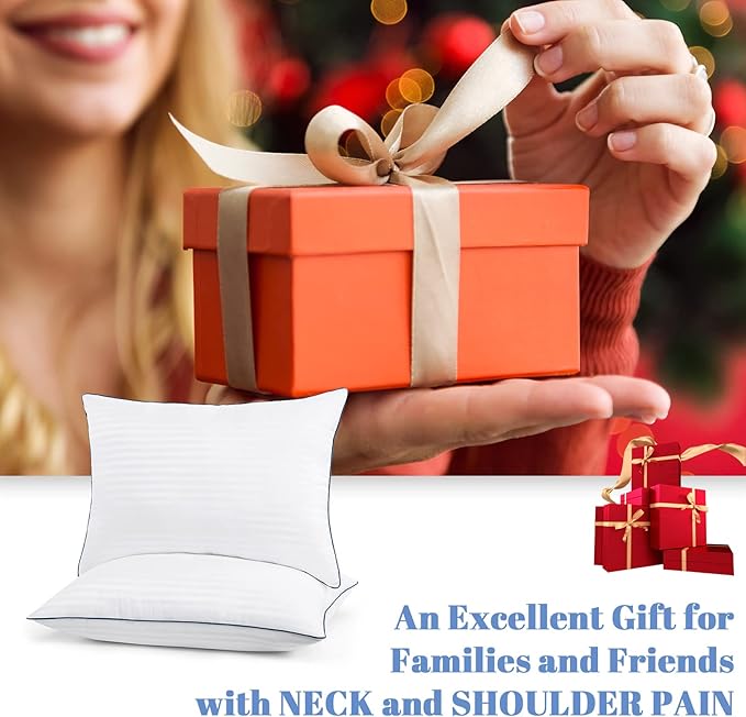 Homemate Bed Pillows for Sleeping - Queen Size(20''x28'') Set of 4 Hotel Quality Allergy Friendly Microfiber Shell Fluffy Down Alternative Filling Pillow Suitable Back Stomach or Side Sleepers