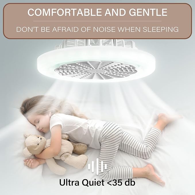 HMcf021 10Inch Enclosed Ceiling Fan with Light