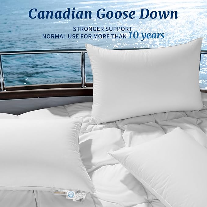 Canadian Luxury Goose Down Pillow Queen Size - 900 Fill Power, 600 TC Cotton Shell- Ultra Soft and Comfort Sleep Pillows - Bed Pillows for Back, Stomach, Side Sleeper(White,Queen(Pack of 1))