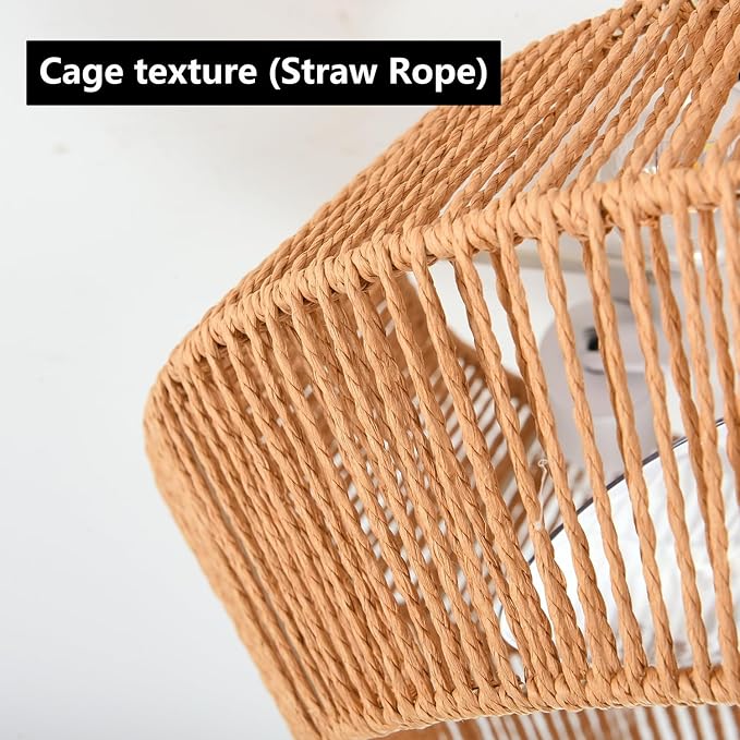 Small 20" Boho Reversible DC Ceiling Fan with Light Fixture and Remote Control, Enclosed Cage Flush Mount Caged Low Profile Fandelier for Nursery Office Dining Room Indoor Kitchen Bedroom