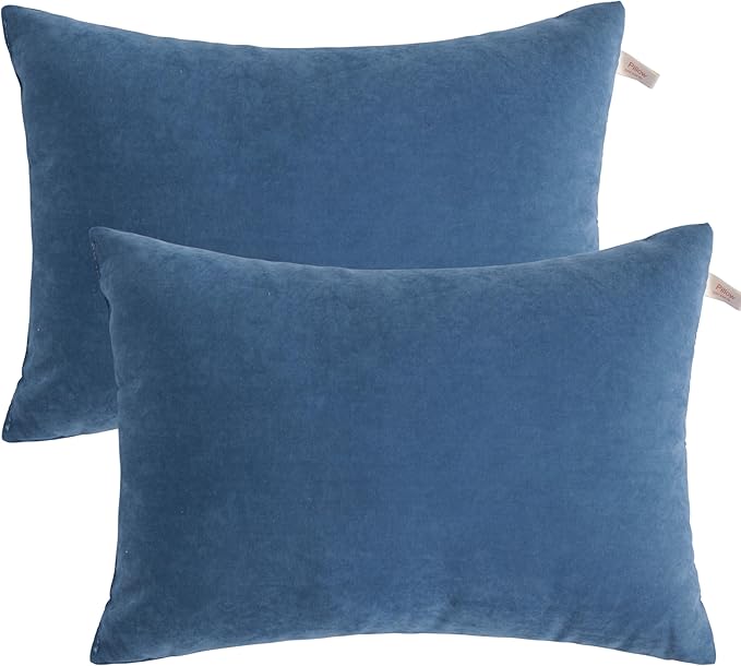 BEDSUM 2 Pack Pillows, 13"x18" Microfiber Pillows for Travel, Pet, Soft and Machine Washable Small Pillows for Neck, Wrist, and Knee Comfort, Denim Blue