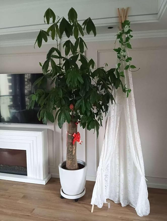 Miyaya 5-Sided Lace Huge Teepee, Indoor/Outdoor Party Central, 80" x 80" x 87" Indian Style Adult Tent,Princess Lace Party,Wedding Teepee, Beach Tent,Picnic Tent (White)