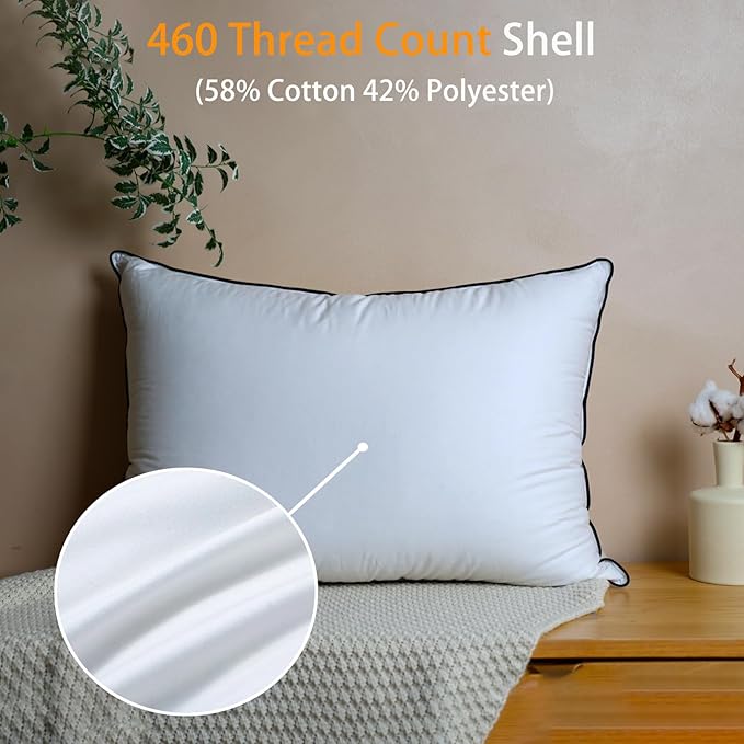 Natural White Goose Down Pillows- 550 Fill Power Down Pillow Queen Size - Soft and Support Down Bed Pillow for Back,Side,Stomach Sleepers，Queen (2 Pack ，20" x 28")