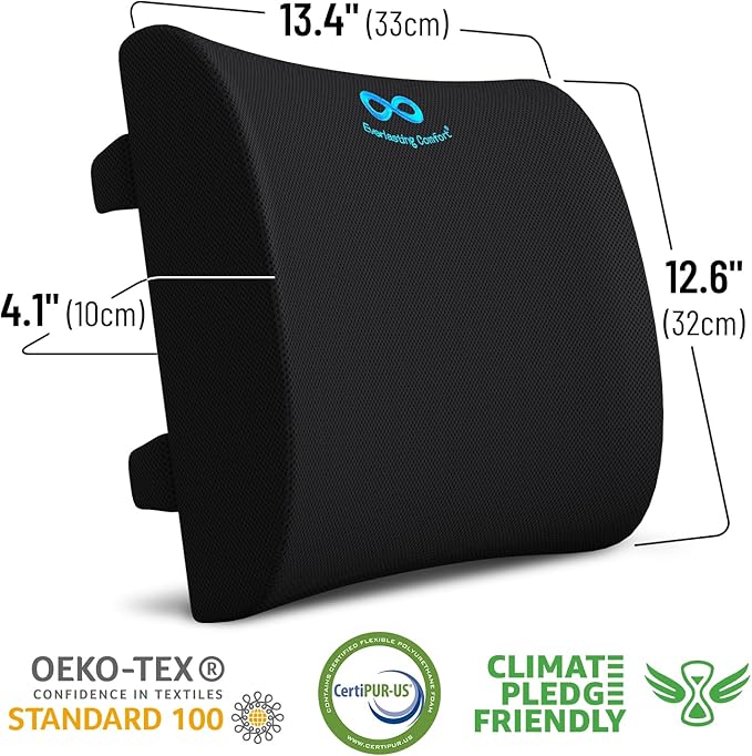Everlasting Comfort Lumbar Support Pillow for Office Chair - Memory Foam Back Cushion for Chair, Car, Couch - Lumbar Pillow Promotes Better Posture, Back Pain Relief - Ideal for Gaming and Desk Chairs