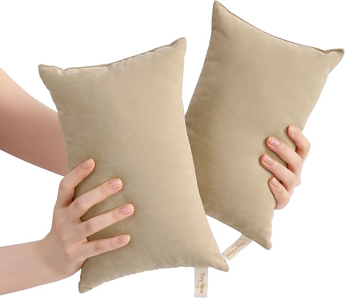 BEDSUM 2 Pack Tiny Pillows, 11"x7" Microfiber Mini Pillows for Travel, Dogs, Cats, Soft and Machine Washable Small Pillows for Neck, Wrist, and Knee Comfort, Taupe