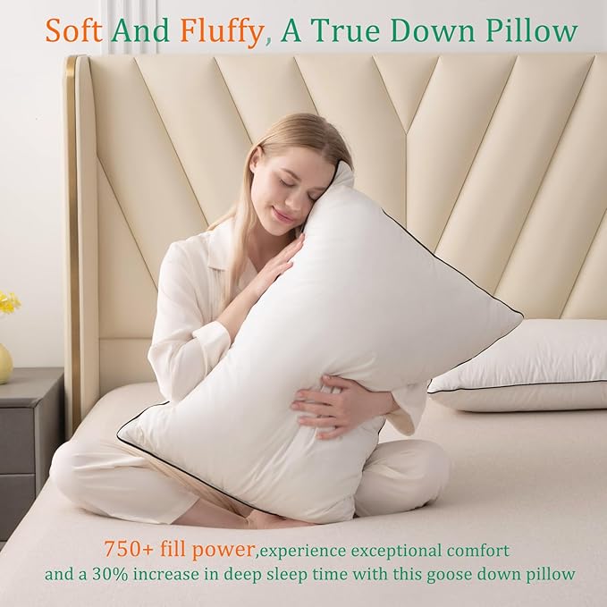 Luxury White Goose Down Pillows Standard Size - 750 Fill Power - 500 Thread Count 100% Cotton Shell - Soft and Support Down Bed Pillow for Back, Side, Stomach Sleepers -Pack of 1 (20 x 26”)
