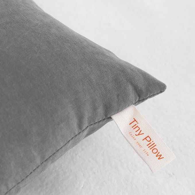 NTBAY Tiny Pillows, Down Alternative 7"x11" Microfiber Mini Pillows for Travel, Pets, Soft Machine Washable Small Pillows for Neck, Wrist, Lumbar and Knee, Dark Grey