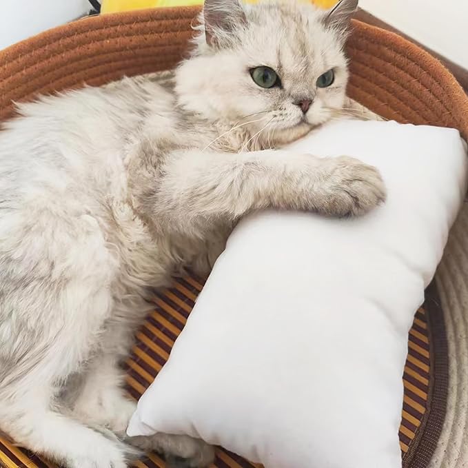 BEDSUM 2 Pack Pillows, 13"x18" Microfiber Pillows for Travel, Pets, Soft and Machine Washable Small Pillows for Neck, Wrist, and Knee Comfort, White