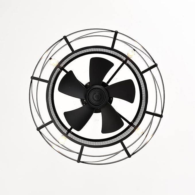 NicBex Ceiling Fan 20 Inch Modern Ceiling Fan with Lights Ceiling Fans with 5 Blades and Remote Control Reversible Small Caged Ceiling Fan for Bedroom, Living Room, Matte Black