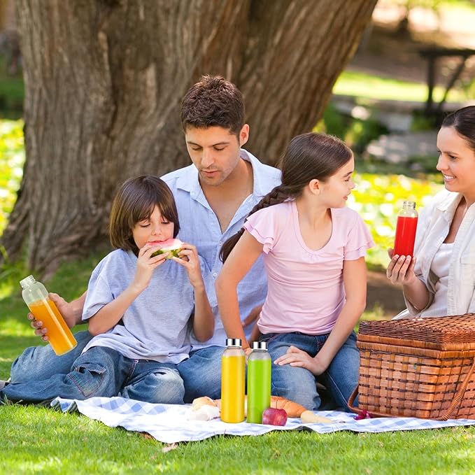 Glass Juice Bottles with Lids for Juicing 24 oz, Reusable Clear Glass Water Bottles with Stainless Steel Airtight Cap for Refrigerator, 100% Leak Proof, BPA Free, ECO Friendly, Set of 10