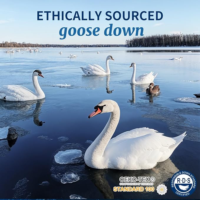 Canadian Luxury Goose Down Pillow Queen Size - 900 Fill Power, 600 TC Cotton Shell- Ultra Soft and Comfort Sleep Pillows - Bed Pillows for Back, Stomach, Side Sleeper(White,Queen(Pack of 2))