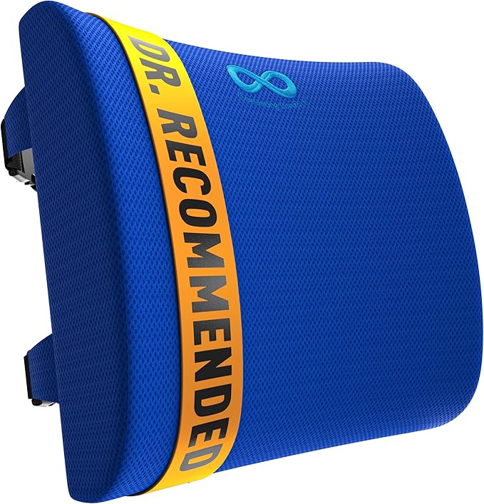 Everlasting Comfort Lumbar Support Pillow for Office Chair - Memory Foam Back Cushion for Chair, Car, Couch - Lumbar Pillow Promotes Better Posture, Back Pain Relief - Ideal for Gaming and Desk Chairs